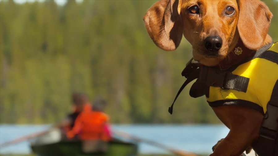 La Semaine de la sécurité nautique est en cours au Québec 