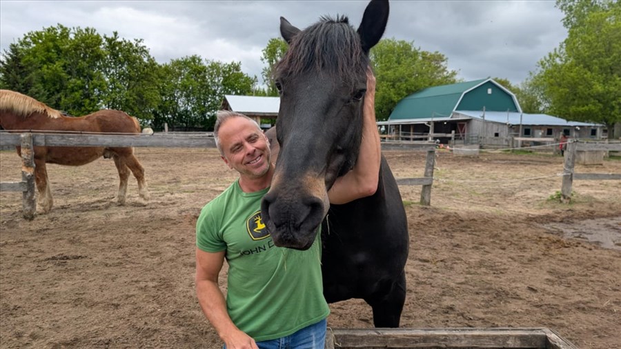 Un nouveau pensionnaire du SPVM rejoint le refuge A Horse Tale