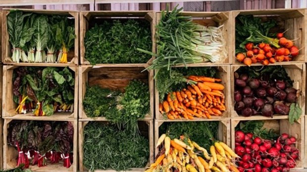La 15e saison du Marché des Saveurs est officiellement lancée 