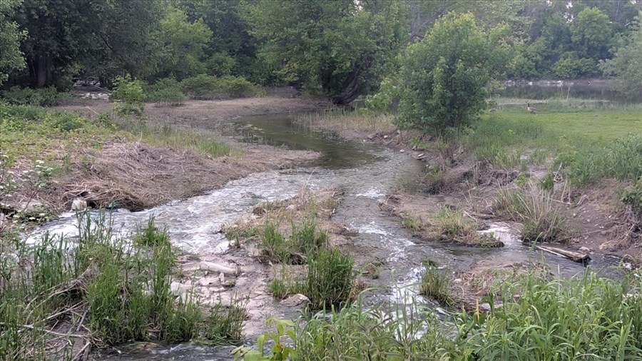 Des citoyens se mobilisent pour l’avenir de la rivière Rigaud