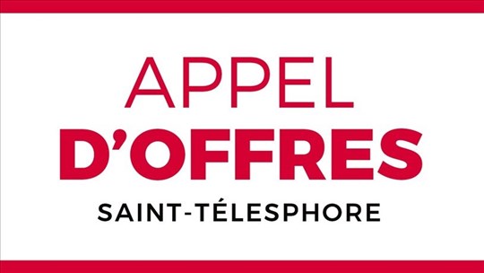 Appel d'offres: Travaux de réfection du pavage d’une portion du chemin Saint-Georges