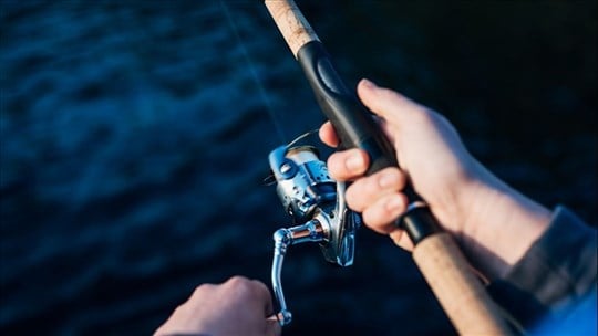 Au bout de la ligne: où pêchez dans la région