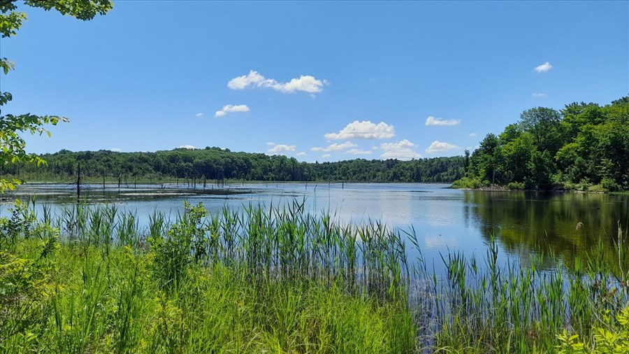 Vaudreuil-Dorion : atelier gratuit pour les résidents riverains le 12 juillet