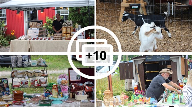 Retour en images sur le marché Pengrove