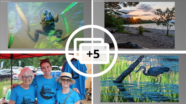 Un regroupement de citoyen bénévole à la défense de Sandy Beach