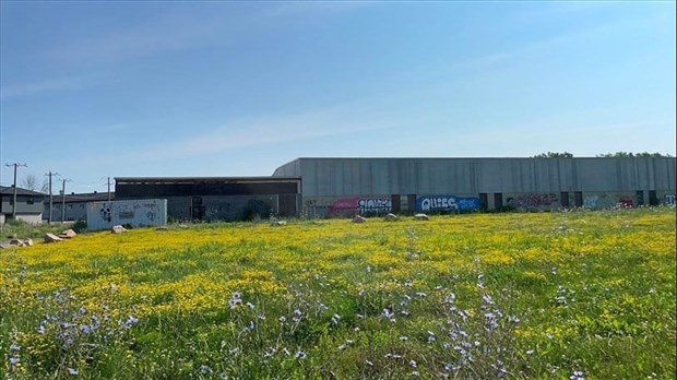 Un pas dans la bonne direction pour le Centre sportif de l'Île