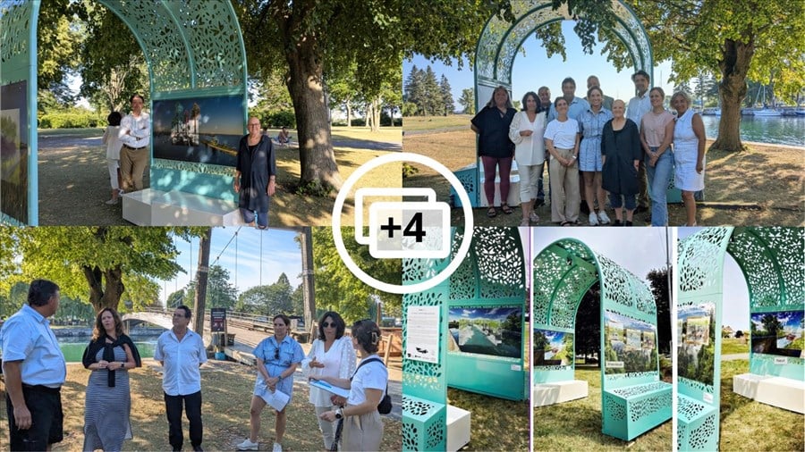 Une exposition extérieure qui rappelle l'importance des arbres 