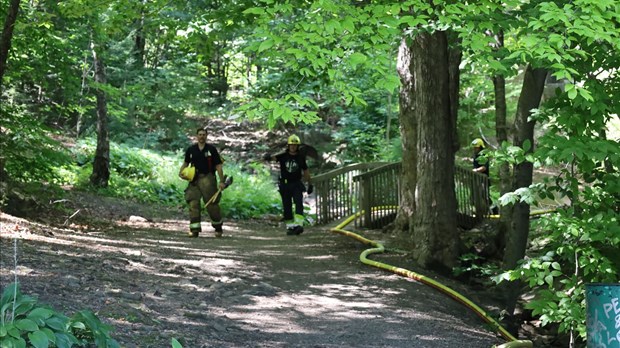 Un feu rapidement éteint dans la montagne de Rigaud