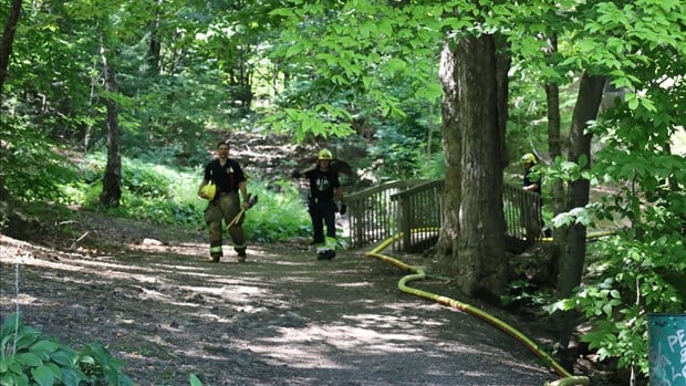 Un feu rapidement éteint dans la montagne de Rigaud