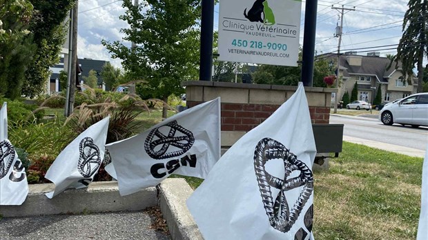 L’hôpital vétérinaire de Vaudreuil en conflit de travail