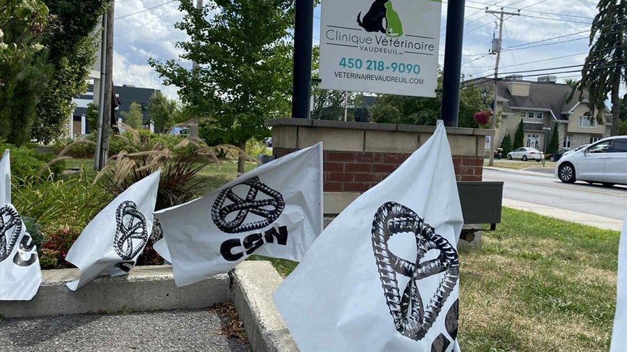 L’hôpital vétérinaire de Vaudreuil en conflit de travail