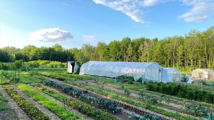 Découvrez deux entreprises agricoles du Suroît ce dimanche  