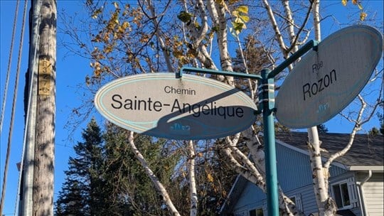 Des chars allégoriques colorés et dynamiques attendus à Saint-Lazare 