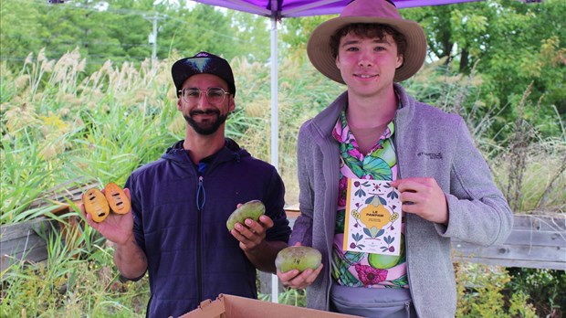 Les richesses et les possibilités de notre territoire