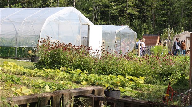 Portes ouvertes, mangeons local à Notre-Dame-de-l'Île-Perrot