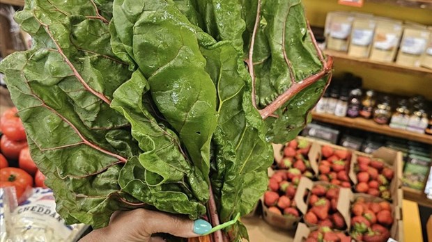 Consommer local est-ce vraiment plus cher ?