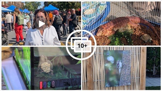 Naturellement Sainte-Anne : une célébration de la biodiversité à Sainte-Anne-de-Bellevue