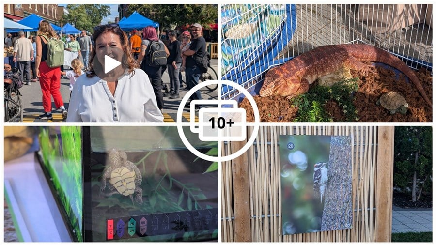 Naturellement Sainte-Anne : une célébration de la biodiversité à Sainte-Anne-de-Bellevue
