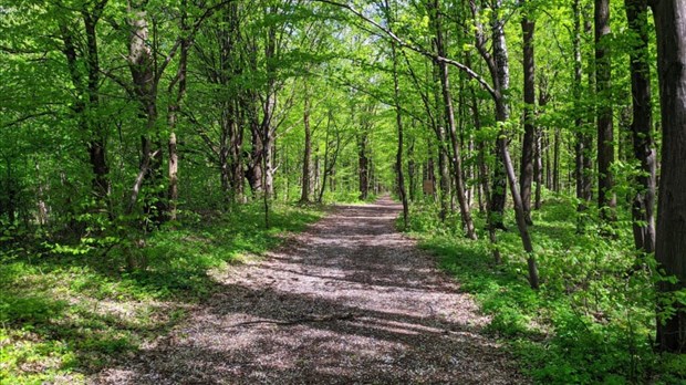 Le groupe Sauvons Sandy Beach amasse 55 000 $ en dons pour l'aider dans sa mission