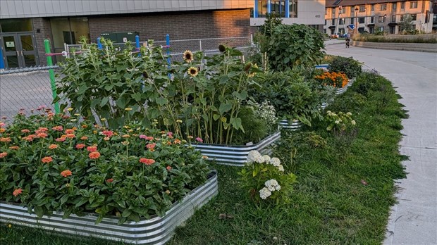 Les citoyens de Vaudreuil-Dorion invités à proposer un projet vert