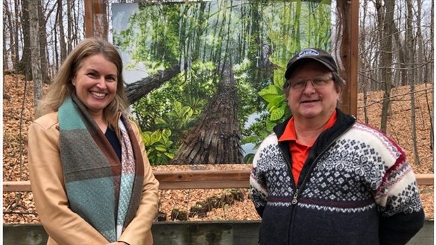 Des arbres et des arts : une volonté claire de préserver la nature