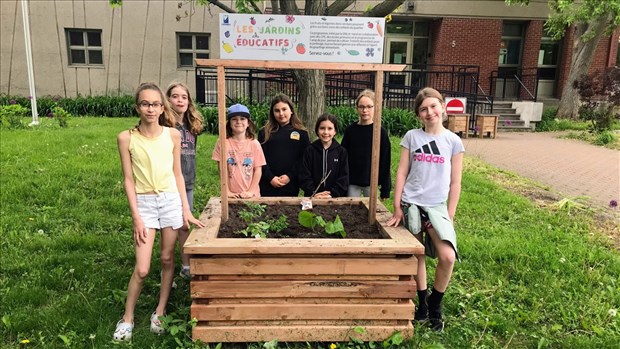 Des projets environnementaux dans plusieurs écoles du Québec