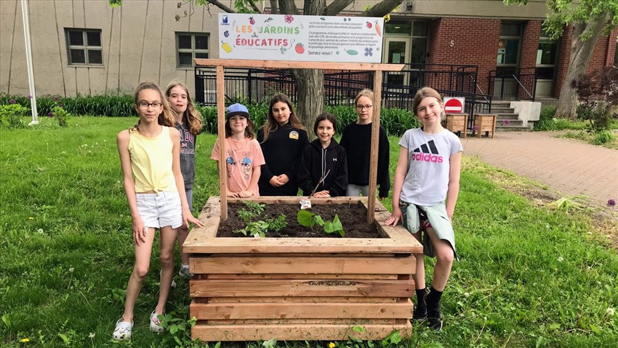 Des projets environnementaux dans plusieurs écoles du Québec