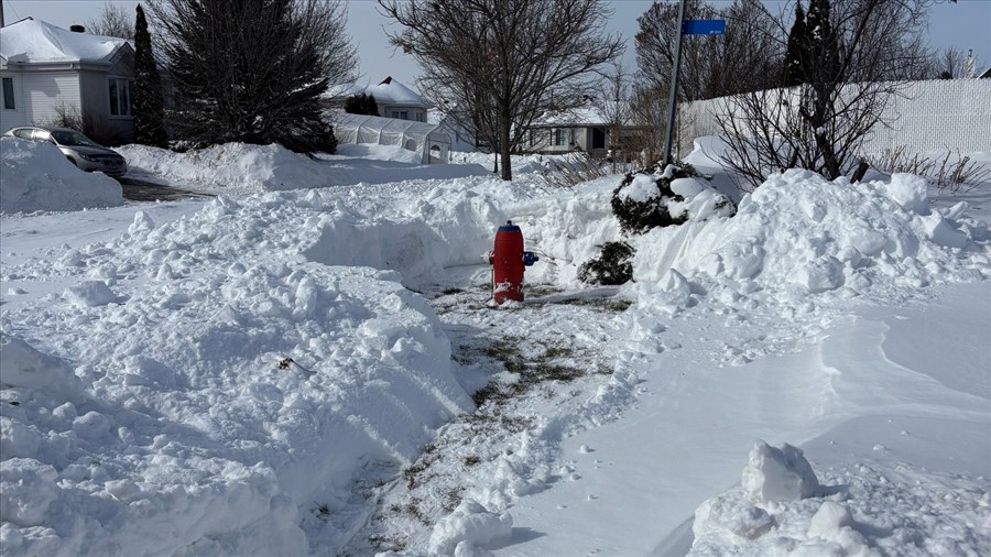 Rappel du concours Adopte TA borne