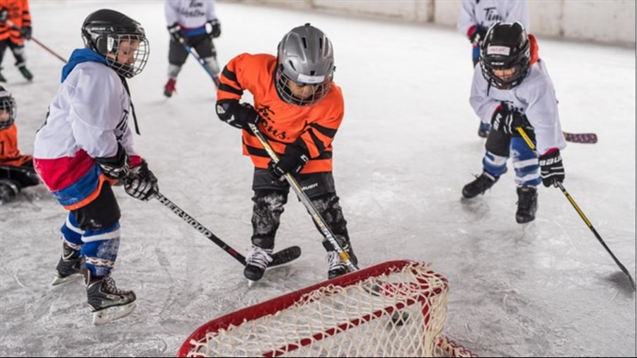 Activités Plaisirs d'hiver au parc des Éperviers
