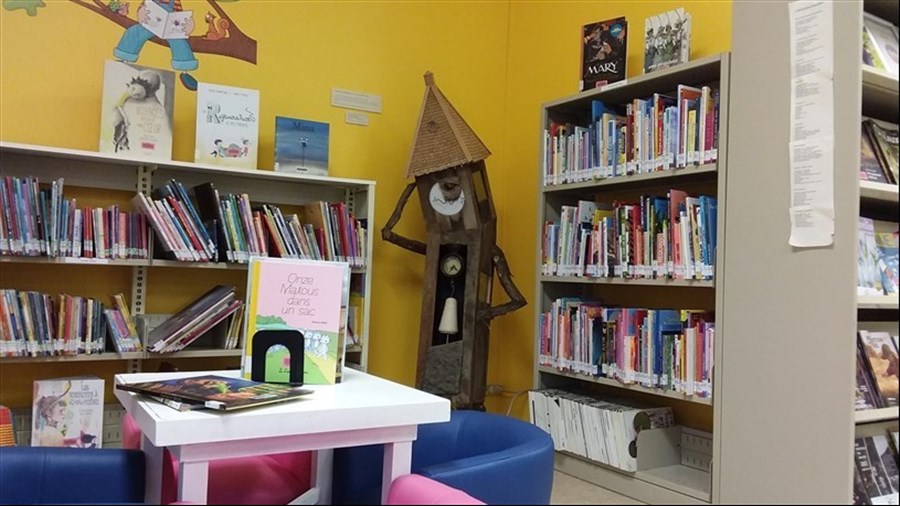 Projet de loi C-15: quels impacts pour les bibliothèques municipales rurales? 