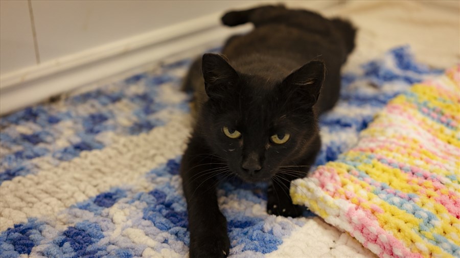 Le vendredi 13 porte-t-il vraiment malheur?