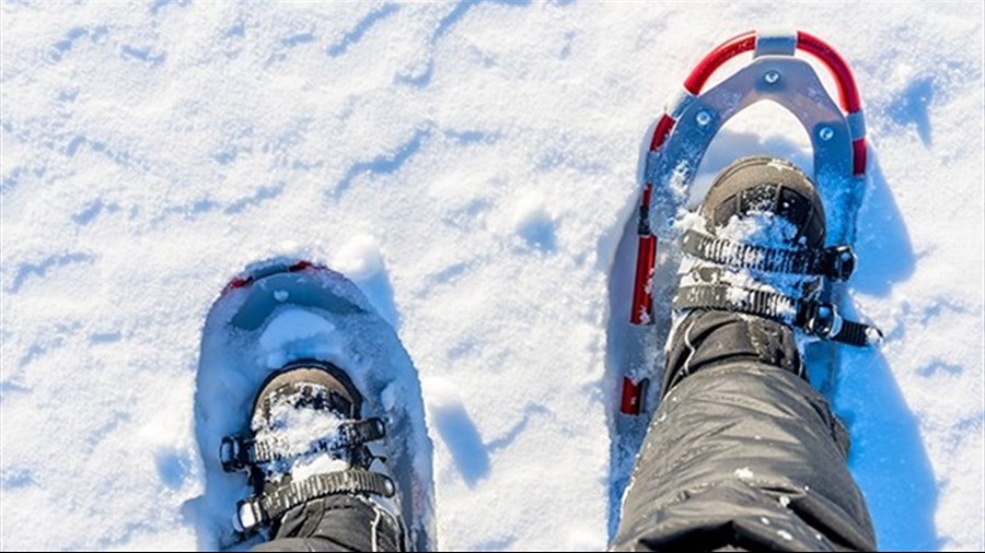 Une matinée de raquettes à Très-Saint-Rédempteur