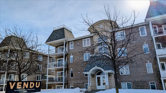 Immobilier: les condos ont la cote