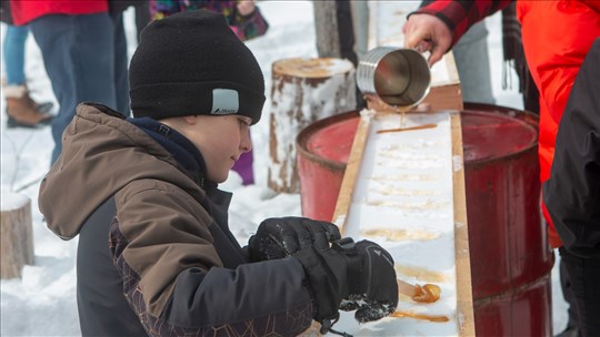 Les sucres: découvrir des richesses locales