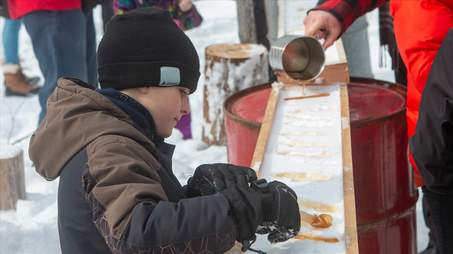 Les sucres: découvrir des richesses locales