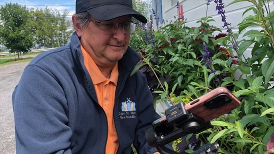 Le film Des Arbres et des Arts sera présenté en Europe