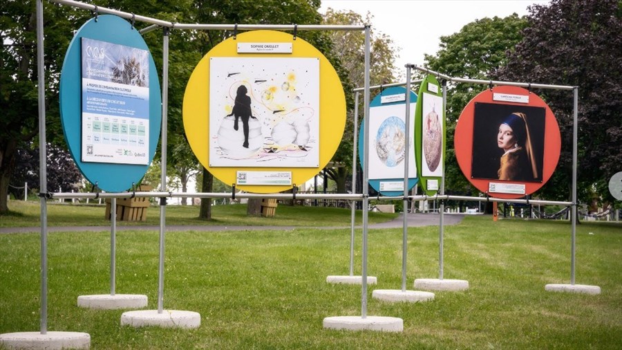 Contamination culturelle: qui sont les 16 artistes de la 7e édition? 