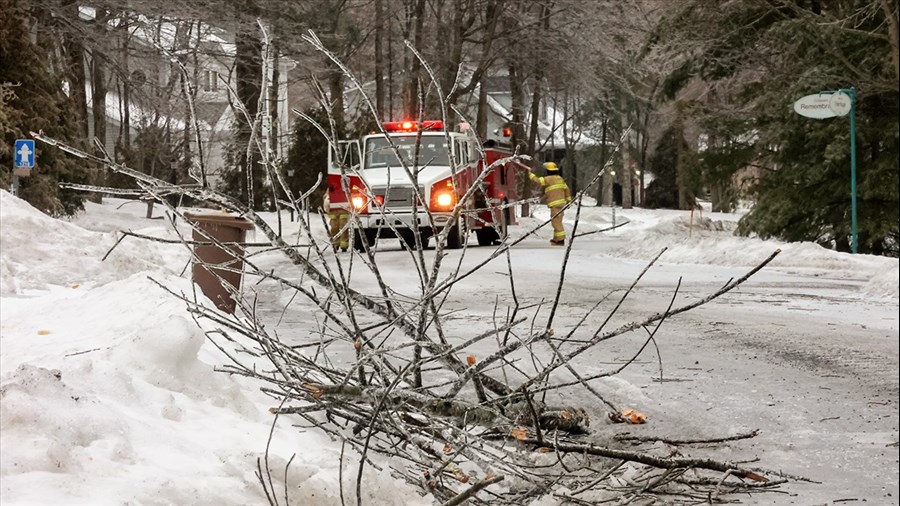 Récent verglas: pas d'impacts pour la majorité des répondants 