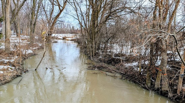 Six villes se retirent d’une déclaration de compétence de la MRC