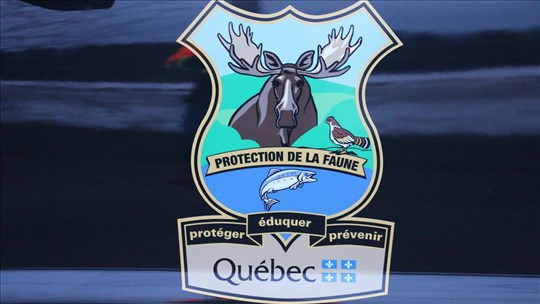 Un réseau de braconnage démantelé à Salaberry-de-Valleyfield 