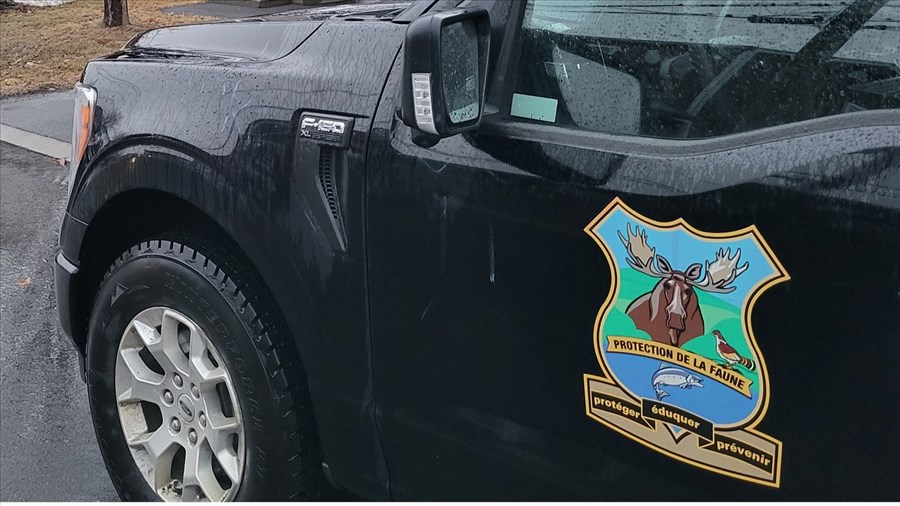 Un réseau de braconnage démantelé à Salaberry-de-Valleyfield 