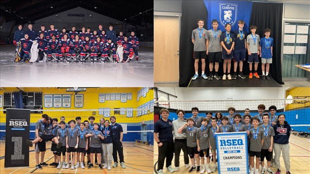 Les Citadins ont connu du succès dans les derniers jours