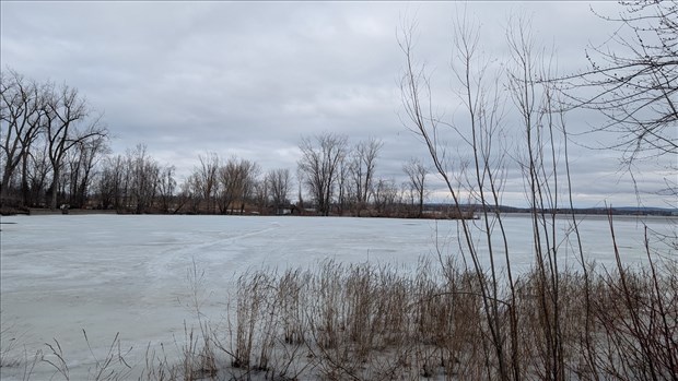 La CMM, aussi active sur l'environnement