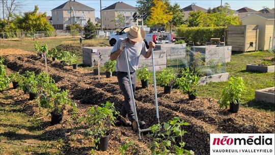 Cultiver son autonomie alimentaire