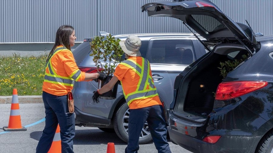 Foire horticole et hôtel à insectes