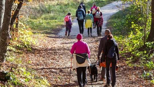 La saison des tiques est de retour 