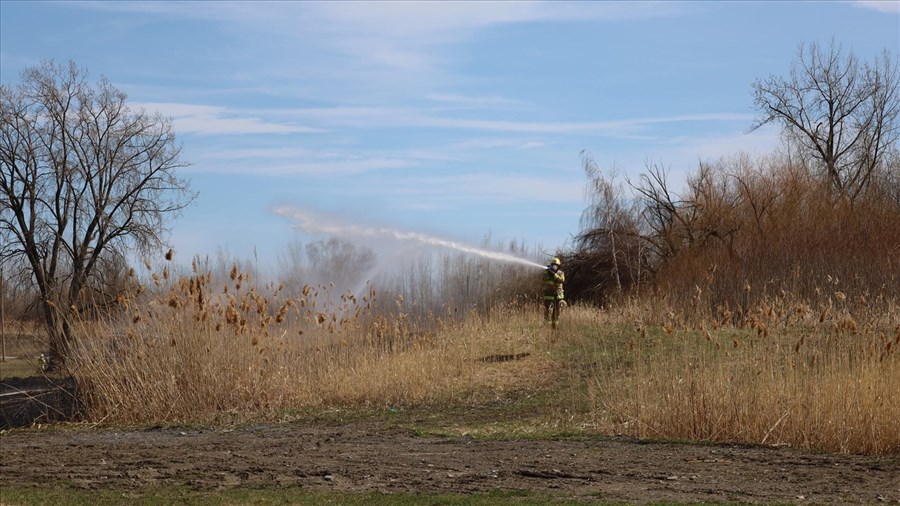 Les pompiers limitent les dégâts d’un feu de champs