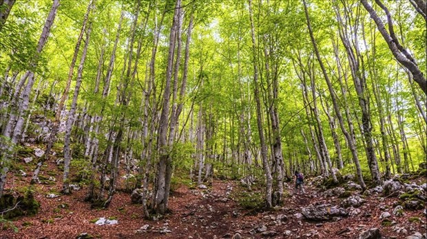 22 avril: Jour de la Terre