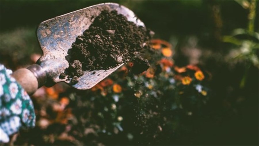 Jour de la Terre : distribution de compost dans les municipalités 