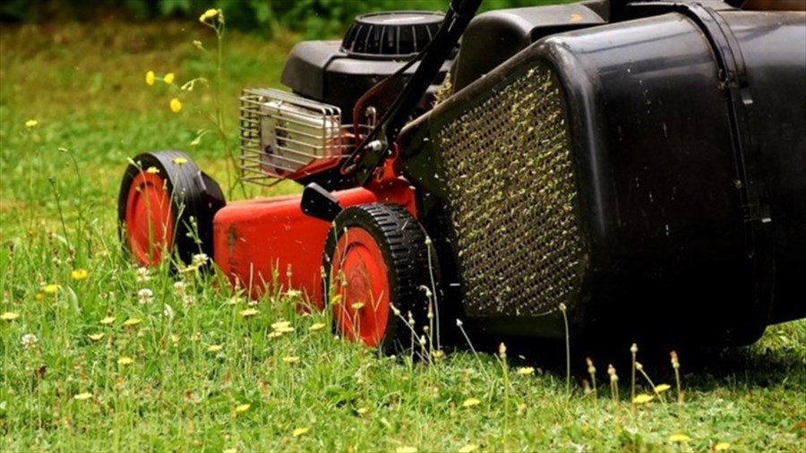 Saint-Lazare s'attaque aux nuisances via de la sensibilisation 